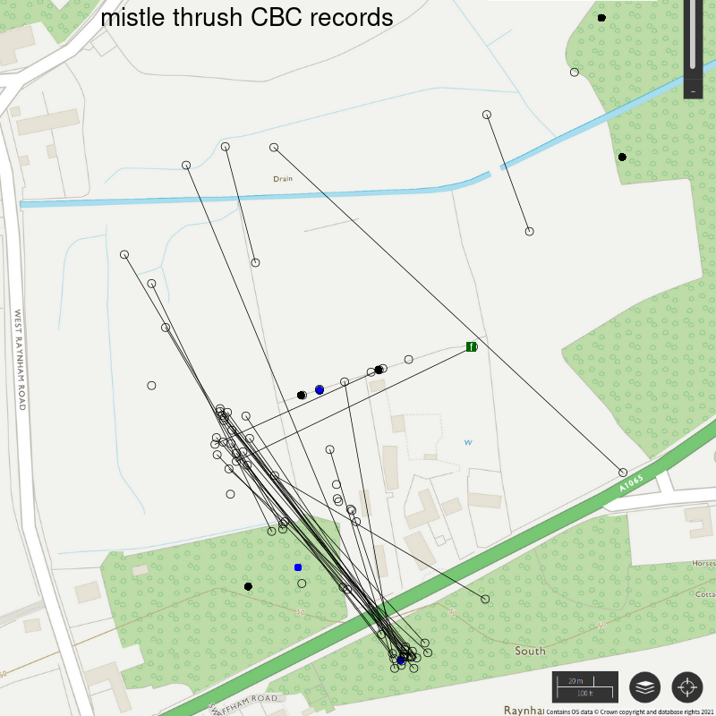 Mistle thrush CBC-style records, Hillside House 2021