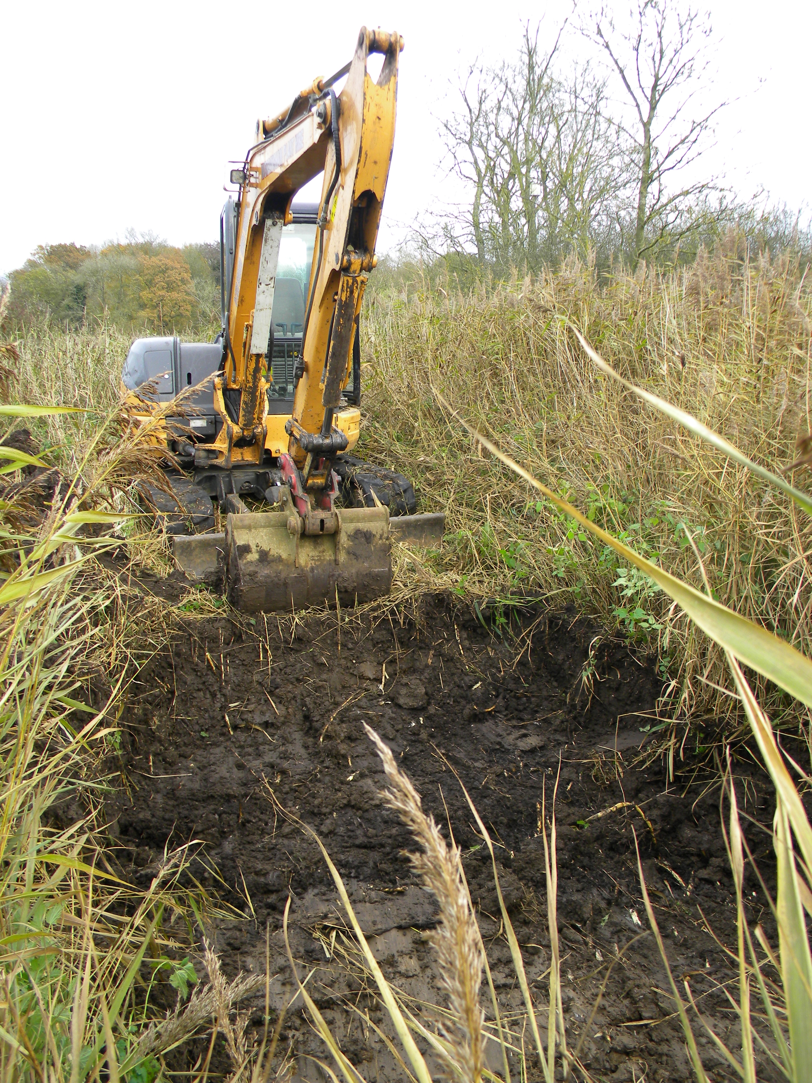 New pond (MNW) being dug using Wordingham digger, 2017-11-21 (1162)