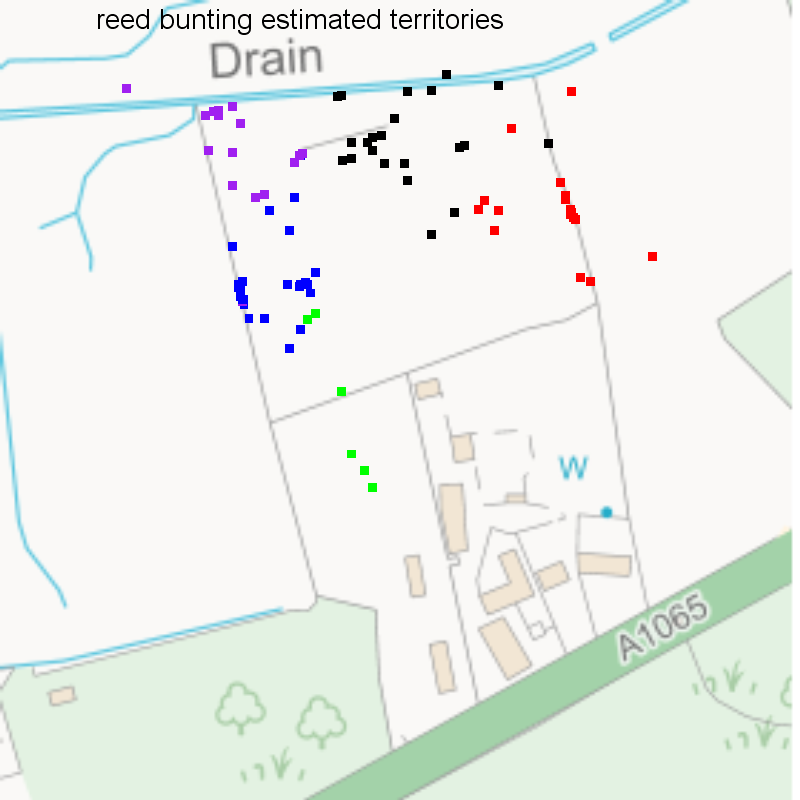 Reed bunting records classified into territories, Hillside House 2020