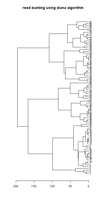 Reed bunting dendrogram (diana), Hillside House 2020