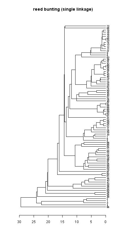 Reed bunting records dendrogram (single linkage), Hillside House 2020