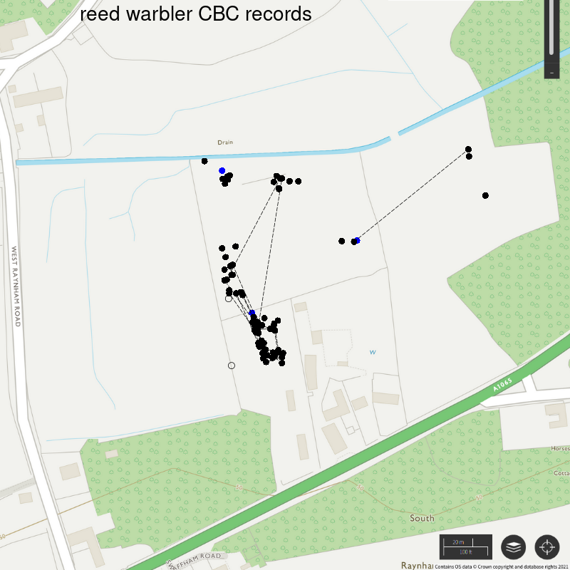 Reed warbler CBC-style records, Hillside House 2021