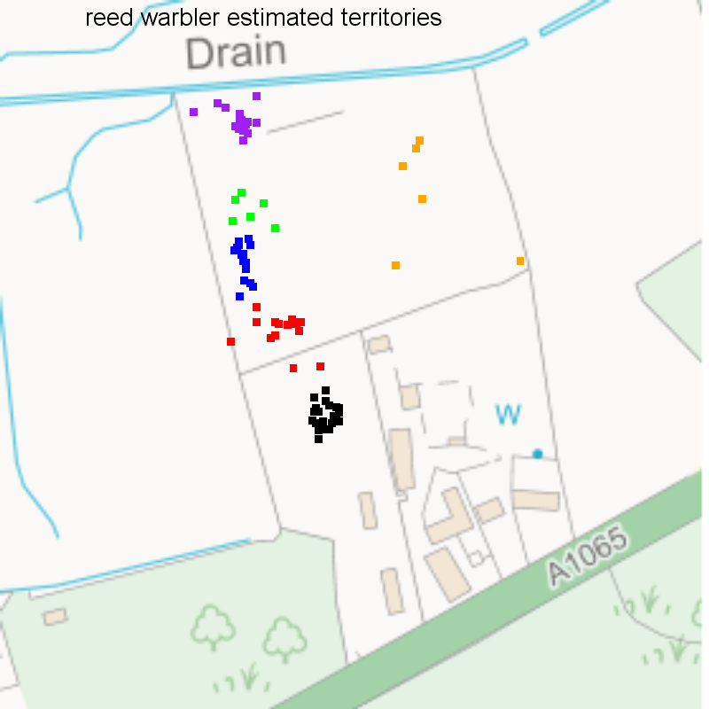 Reed warbler records classified into territories, Hillside House 2020