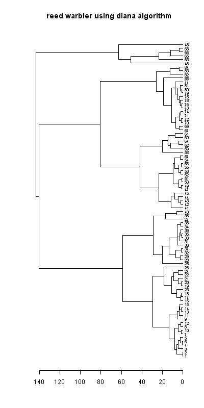 Reed warbler dendrogram (diana), Hillside House 2020