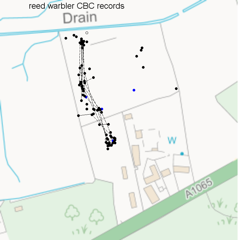 Reed warbler CBC-style records, Hillside House 2020