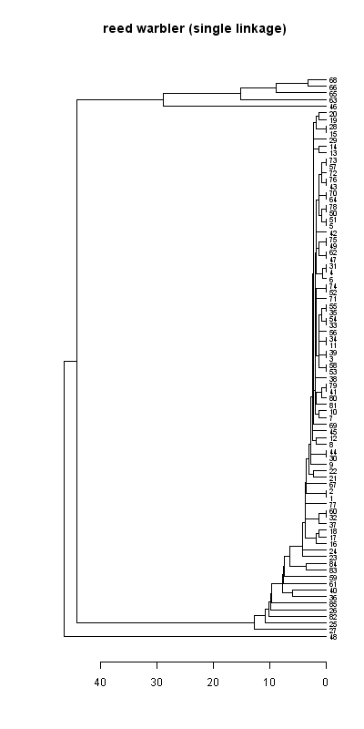 Reed warbler records dendrogram (single linkage), Hillside House 2020