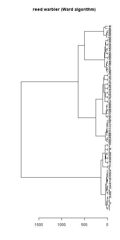 Reed warbler records dendrogram (Ward algorithm), Hillside House 2020