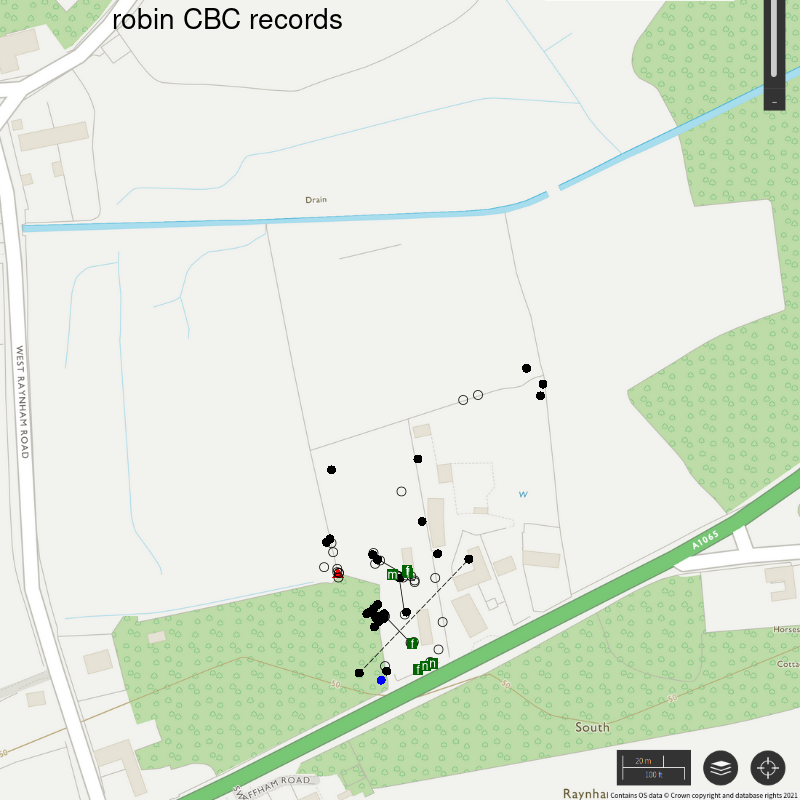 Robin CBC-style records, Hillside House 2021