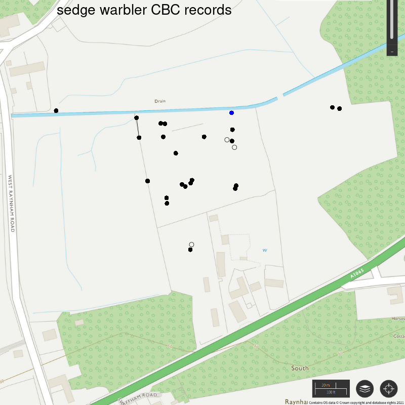 Sedge warbler CBC-style records, Hillside House 2020