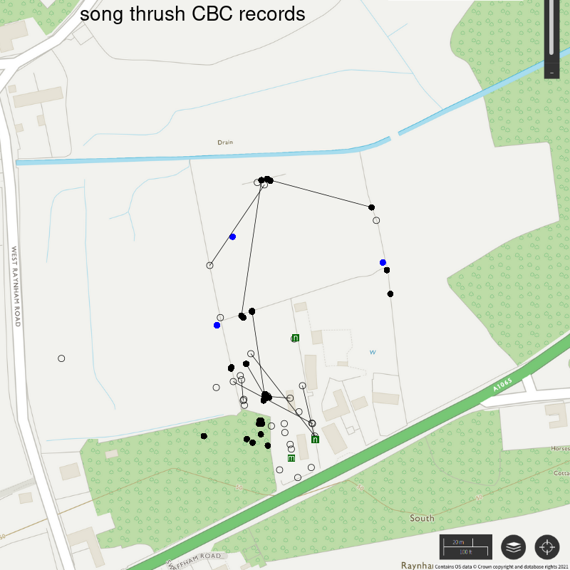 Song thrush CBC-style records, Hillside House 2020