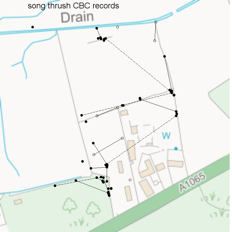 Song thrush CBC-style records, Hillside House 2020