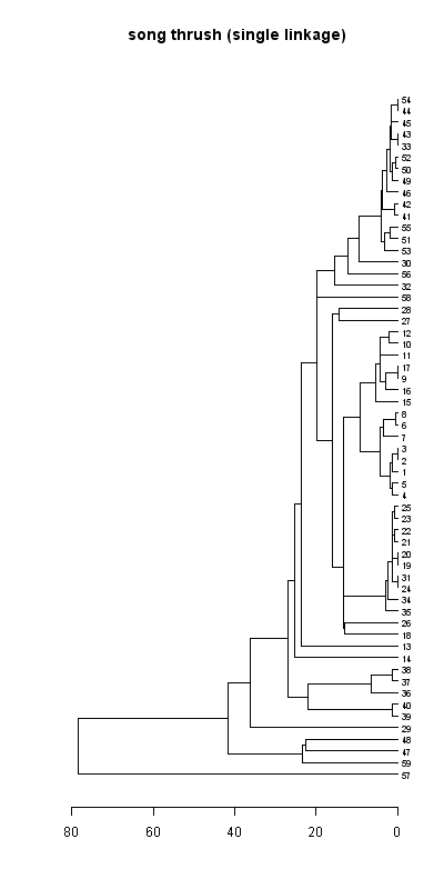 Song thrush records dendrogram (single linkage), Hillside House 2020
