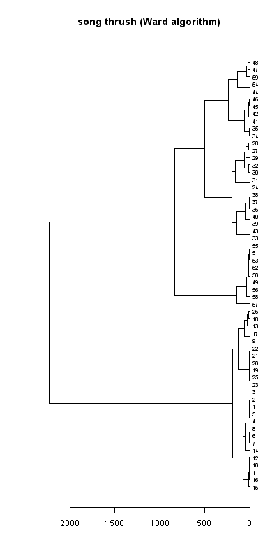 Song thrush records dendrogram (Ward algorithm), Hillside House 2020