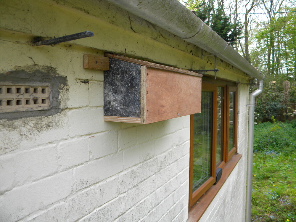 Rutland-style swift nestbox at Hillside House 2022-05-02 (2146)