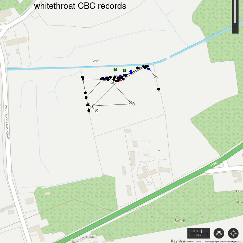 Whitethroat CBC-style records, Hillside House 2020