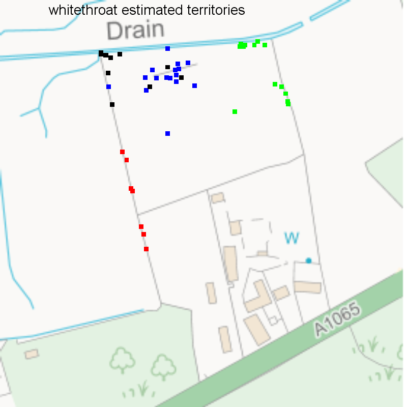 Whitethroat records classified into territories, Hillside House 2020