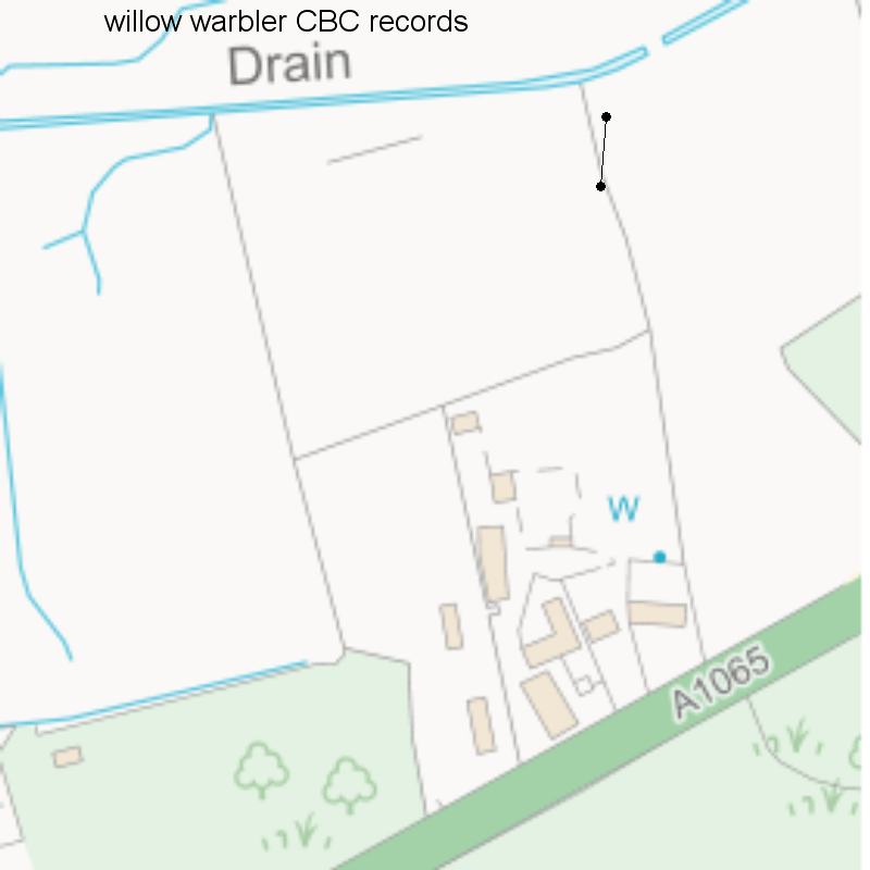 Willow warbler CBC-style records, Hillside House 2020