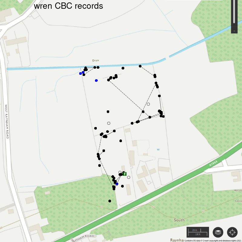 Wren CBC-style records, Hillside House 2020