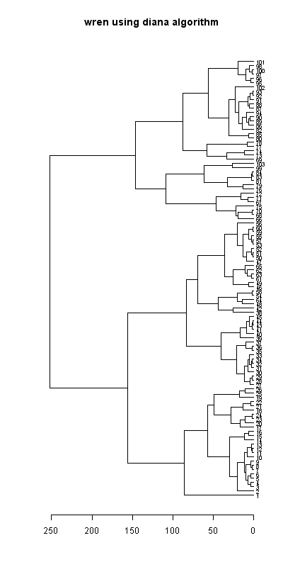 Wren dendrogram (diana), Hillside House 2020