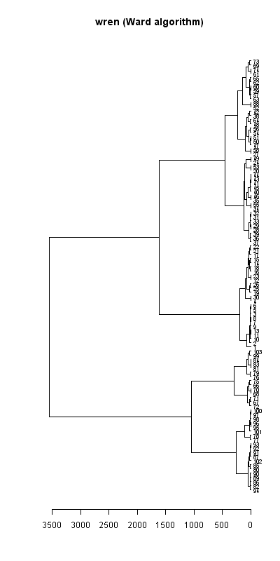 Wren records dendrogram (Ward algorithm), Hillside House 2020